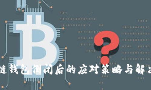 区块链钱包倒闭后的应对策略与解决方案