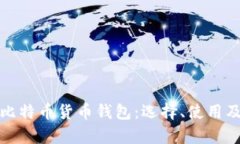 全面解析比特币货币钱包:选择、使用及安全技