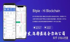 区块链钱包开发,选择最适合你的公司