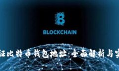 如何验证比特币钱包地址:全面解析与实用指南