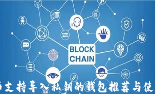 比特币支持导入私钥的钱包推荐与使用指南