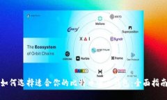 如何选择适合你的比特币电子钱包：全面指南