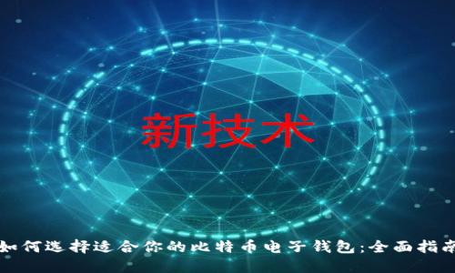 如何选择适合你的比特币电子钱包：全面指南
