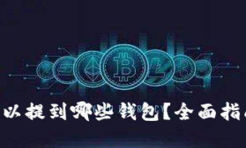  USDT可以提到哪些钱包？全面指南与建议