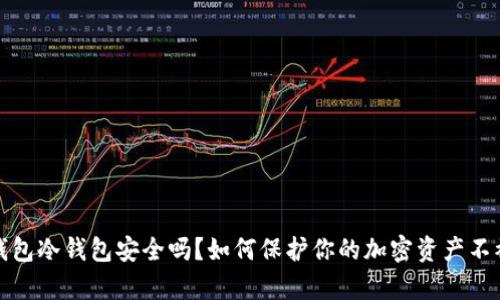 tp钱包冷钱包安全吗？如何保护你的加密资产不被盗