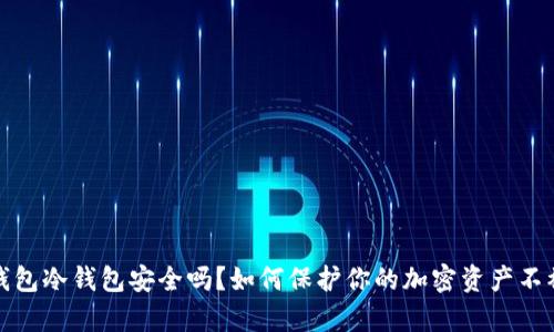 tp钱包冷钱包安全吗？如何保护你的加密资产不被盗