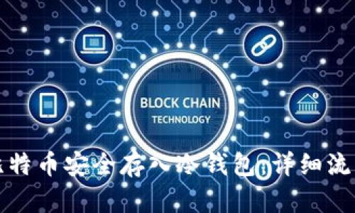 如何将比特币安全存入冷钱包:详细流程与指南
