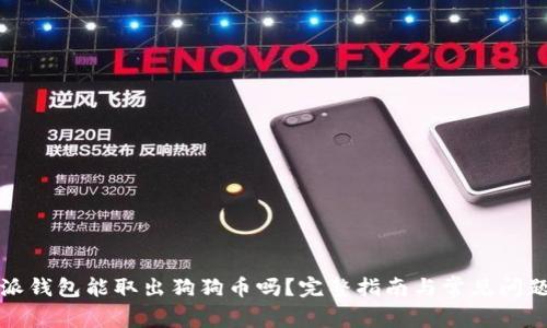 比特派钱包能取出狗狗币吗?完整指南与常见问题解答