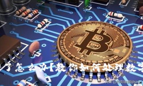 TP钱包币转错了怎么办?教你如何处理数字资产转账失误