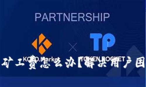 : tp钱包没有矿工费怎么办?解决用户困扰的全面指南