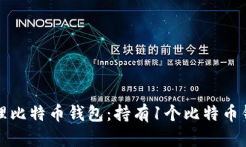 如何拥有及管理比特币钱包:持有1个比特币钱包的实用指南