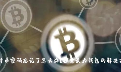 比特币密码忘记了怎么办？探索最大钱包的解决方案
