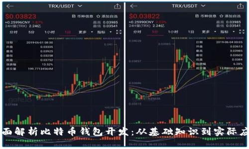 全面解析比特币钱包开发：从基础知识到实际应用
