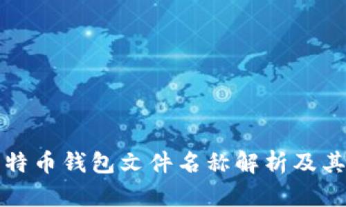 早期比特币钱包文件名称解析及其重要性