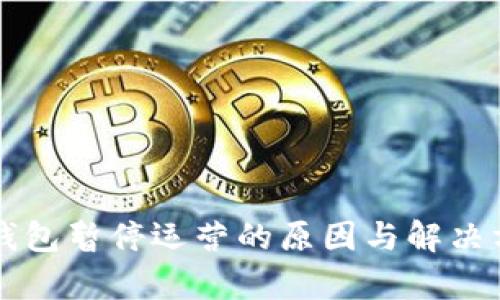 以太坊钱包暂停运营的原因与解决方案分析
