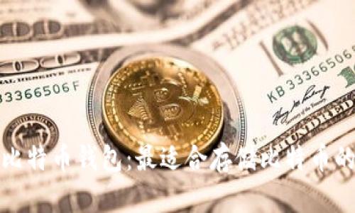 如何选择比特币钱包：最适合存储比特币的选项详解
