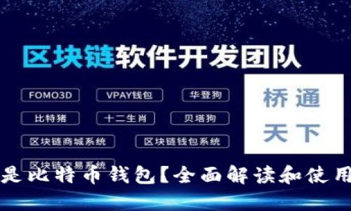 什么是比特币钱包?全面解读和使用指南