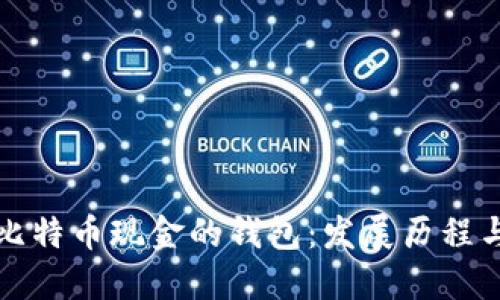 最早支持比特币现金的钱包:发展历程与选择指南