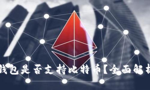 以太坊钱包是否支持比特币?全面解析与比较