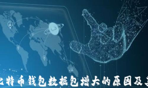 探秘比特币钱包数据包增大的原因及其影响