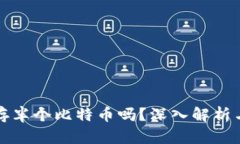 冷钱包能存半个比特币吗?深入解析与使用指南