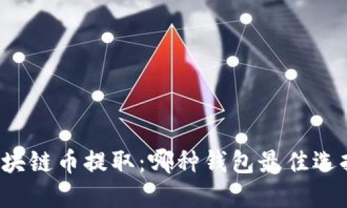 区块链币提取:哪种钱包最佳选择?
