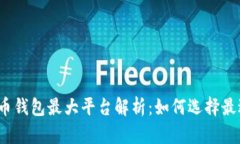2023年比特币钱包最大平台解析：如何选择最适合