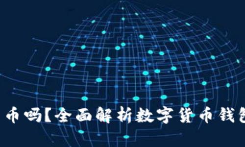  VO钱包能存比特币吗？全面解析数字货币钱包的功能与安全性