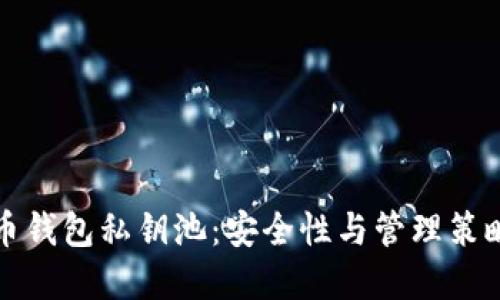 比特币钱包私钥池:安全性与管理策略详解