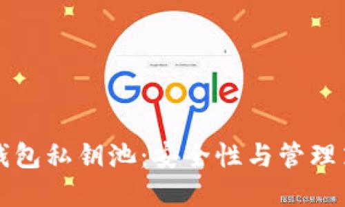 比特币钱包私钥池:安全性与管理策略详解