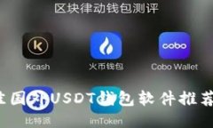 2023年最佳国外USDT钱包软件推荐及使用指南