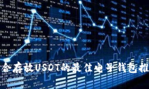 适合存放USDT的最佳电子钱包推荐