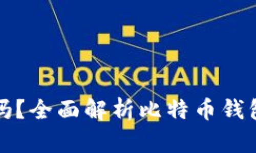 比特币需要钱包吗?全面解析比特币钱包的重要性与选择