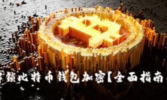 如何解锁比特币钱包加密？全面指南与技巧