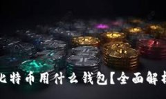 :发送小额比特币用什么钱包?全面解析最佳选择