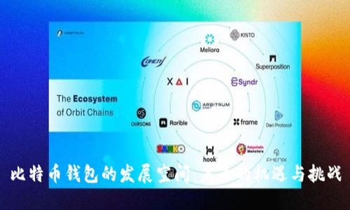 比特币钱包的发展空间:未来的机遇与挑战