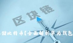 华为钱包能否存储比特币?全面解析华为钱包的