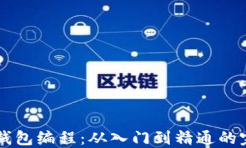 区块链钱包编程:从入门到精通的完整指南
