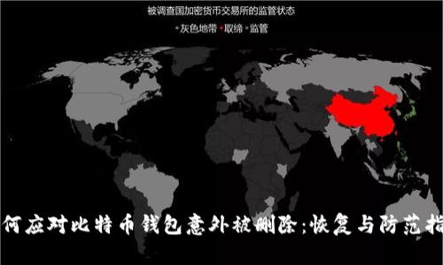 如何应对比特币钱包意外被删除:恢复与防范指南