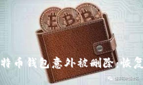 如何应对比特币钱包意外被删除:恢复与防范指南