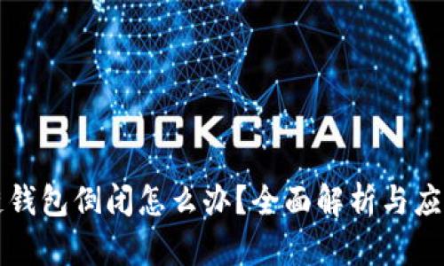 区块链钱包倒闭怎么办?全面解析与应对策略