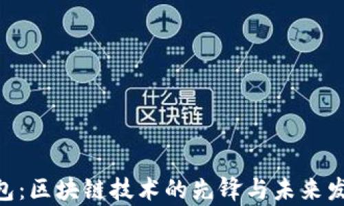 CGP钱包:区块链技术的先锋与未来发展分析