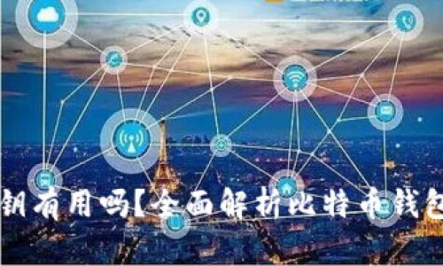 只有比特币钱包密钥有用吗?全面解析比特币钱包安全性与使用方法