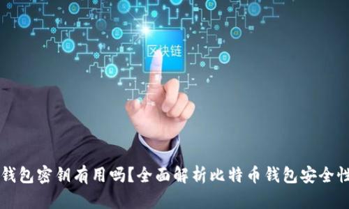 只有比特币钱包密钥有用吗?全面解析比特币钱包安全性与使用方法