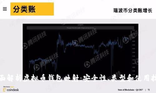 全面解析虚拟币钱包映射：安全性、类型和使用技巧