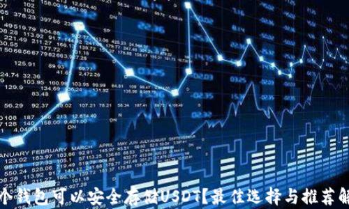 哪个钱包可以安全存储USDT?最佳选择与推荐解析