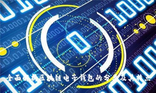 全面解析区块链电子钱包的分类及其特点