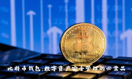 比特币钱包:数字资产安全管理的必需品