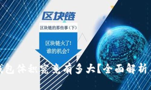 : 比特币钱包体积究竟有多大?全面解析与选择指南