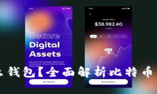 比特币提币用什么钱包?全面解析比特币钱包的选择与使用